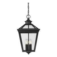 Ellijay Outdoor Pendant