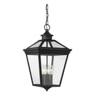 Savoy House - Ellijay Outdoor Pendant - Lights Canada