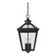 Savoy House - Ellijay Outdoor Pendant - Lights Canada