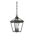 Savoy House - Ellijay Outdoor Pendant - Lights Canada