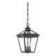 Savoy House - Ellijay Outdoor Pendant - Lights Canada