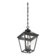 Savoy House - Ellijay Outdoor Pendant - Lights Canada