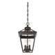 Savoy House - Ellijay Outdoor Pendant - Lights Canada
