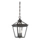 Savoy House - Ellijay Outdoor Pendant - Lights Canada