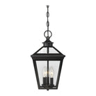 Savoy House - Ellijay Outdoor Pendant - Lights Canada