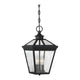Savoy House - Ellijay Outdoor Pendant - Lights Canada