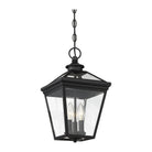Savoy House - Ellijay Outdoor Pendant - Lights Canada