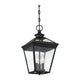 Savoy House - Ellijay Outdoor Pendant - Lights Canada