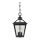 Savoy House - Ellijay Outdoor Pendant - Lights Canada