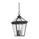 Savoy House - Ellijay Outdoor Pendant - Lights Canada