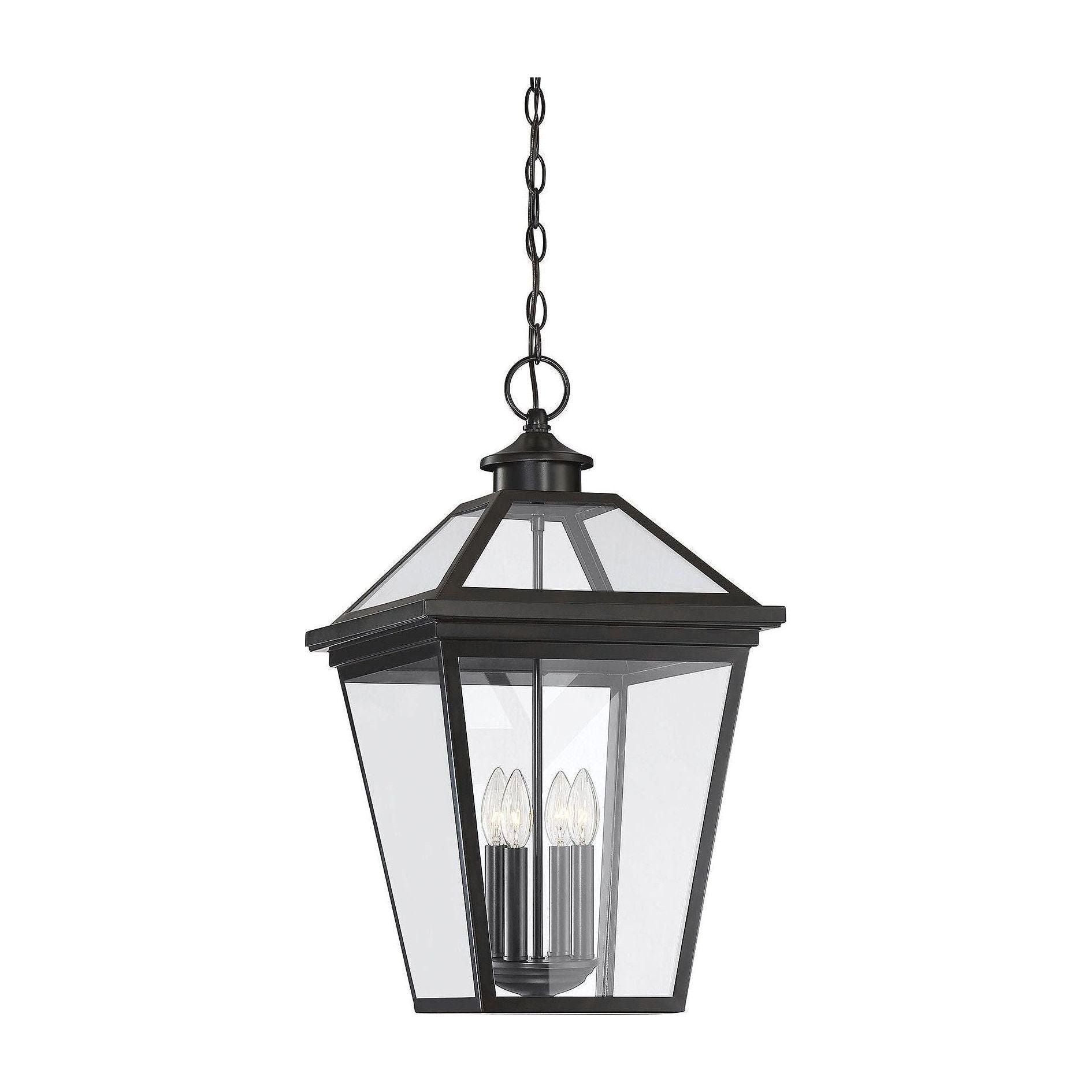 Savoy House - Ellijay Outdoor Pendant - Lights Canada