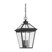 Ellijay Outdoor Pendant