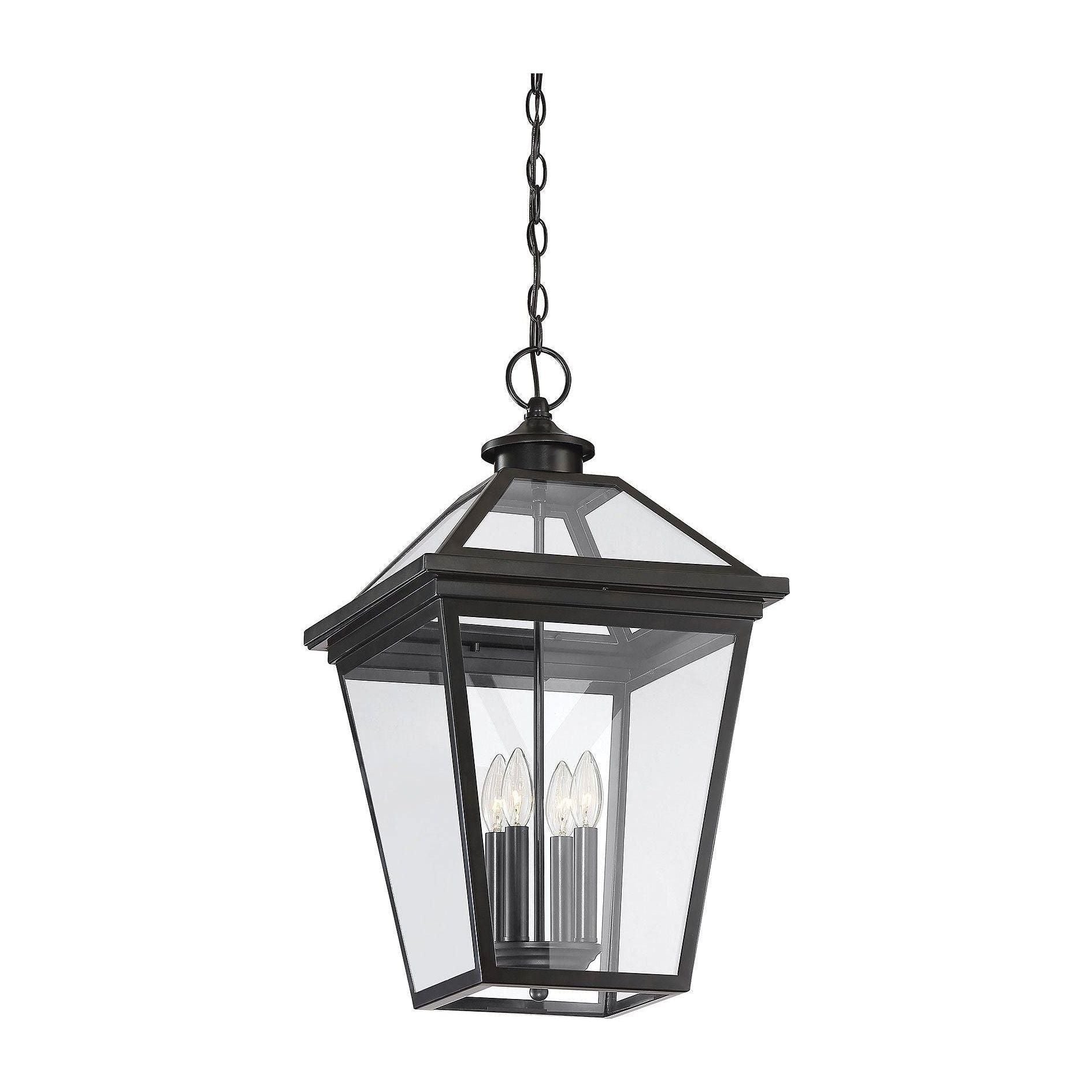 Savoy House - Ellijay Outdoor Pendant - Lights Canada