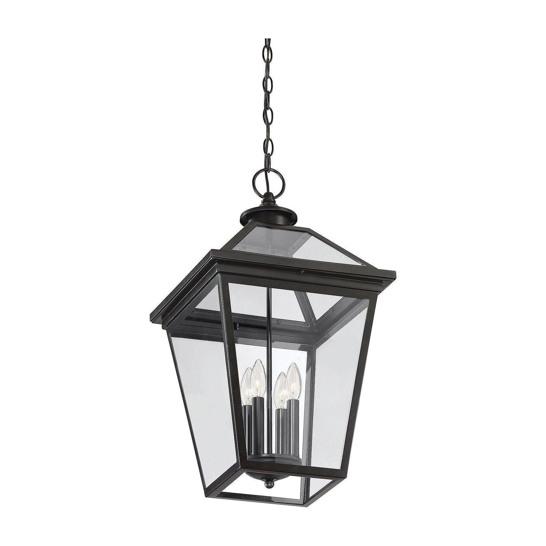 Savoy House - Ellijay Outdoor Pendant - Lights Canada