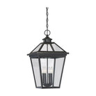 Savoy House - Ellijay Outdoor Pendant - Lights Canada