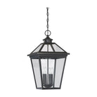Savoy House - Ellijay Outdoor Pendant - Lights Canada