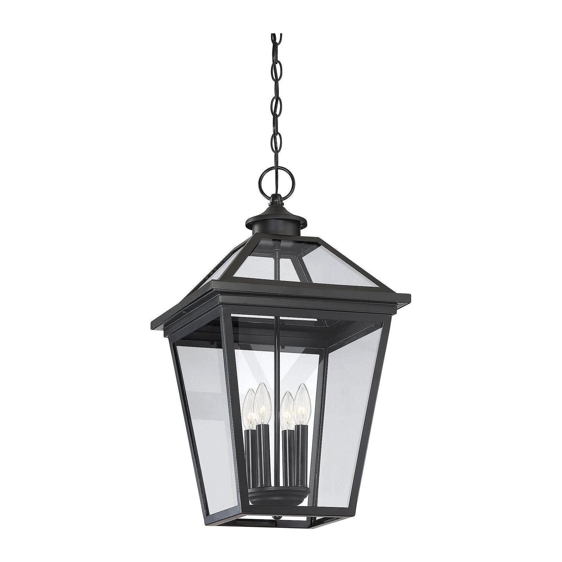 Savoy House - Ellijay Outdoor Pendant - Lights Canada