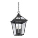 Savoy House - Ellijay Outdoor Pendant - Lights Canada
