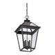 Savoy House - Ellijay Outdoor Pendant - Lights Canada