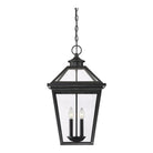 Savoy House - Ellijay Outdoor Pendant - Lights Canada