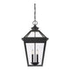 Savoy House - Ellijay Outdoor Pendant - Lights Canada