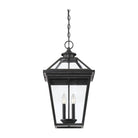 Savoy House - Ellijay Outdoor Pendant - Lights Canada