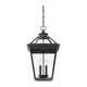 Savoy House - Ellijay Outdoor Pendant - Lights Canada