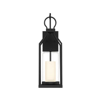Hamilton 1-Light Outdoor Wall Lantern
