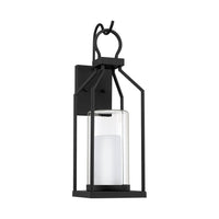 Hamilton 1-Light Outdoor Wall Lantern