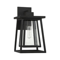 Denver 1-Light Outdoor Wall Lantern