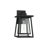 Denver 1-Light Outdoor Wall Lantern