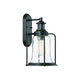 Savoy House - Tacoma Outdoor Wall Light - Lights Canada