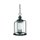 Savoy House - Tacoma Outdoor Pendant - Lights Canada