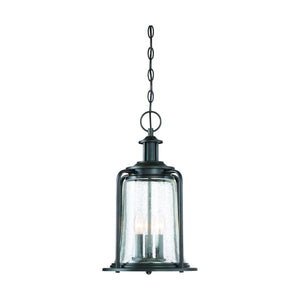 Savoy House - Tacoma Outdoor Pendant - Lights Canada