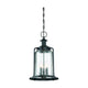 Savoy House - Tacoma Outdoor Pendant - Lights Canada