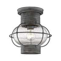 Enfield Outdoor Ceiling Light