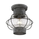 Savoy House - Enfield Outdoor Ceiling Light - Lights Canada