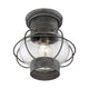 Savoy House - Enfield Outdoor Ceiling Light - Lights Canada