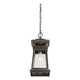 Savoy House - Taylor Outdoor Pendant - Lights Canada