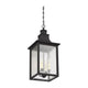 Savoy House - Monte Grande Outdoor Pendant - Lights Canada