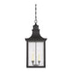 Savoy House - Monte Grande Outdoor Pendant - Lights Canada