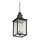 Savoy House - Monte Grande Outdoor Pendant - Lights Canada