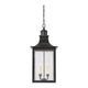Savoy House - Monte Grande Outdoor Pendant - Lights Canada