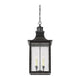 Savoy House - Monte Grande Outdoor Pendant - Lights Canada