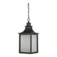 Savoy House - Monte Grande Outdoor Pendant - Lights Canada