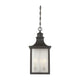 Savoy House - Monte Grande Outdoor Pendant - Lights Canada