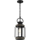 Savoy House - Parker 1-Light Outdoor Hanging Lantern - Lights Canada