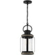Savoy House - Parker 1-Light Outdoor Hanging Lantern - Lights Canada