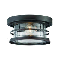 Barrett Outdoor Ceiling Light