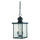 Savoy House - Newberry Outdoor Pendant - Lights Canada